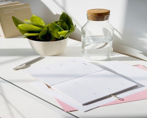 Organized desk with a plant, water glass, and natural side lighting
